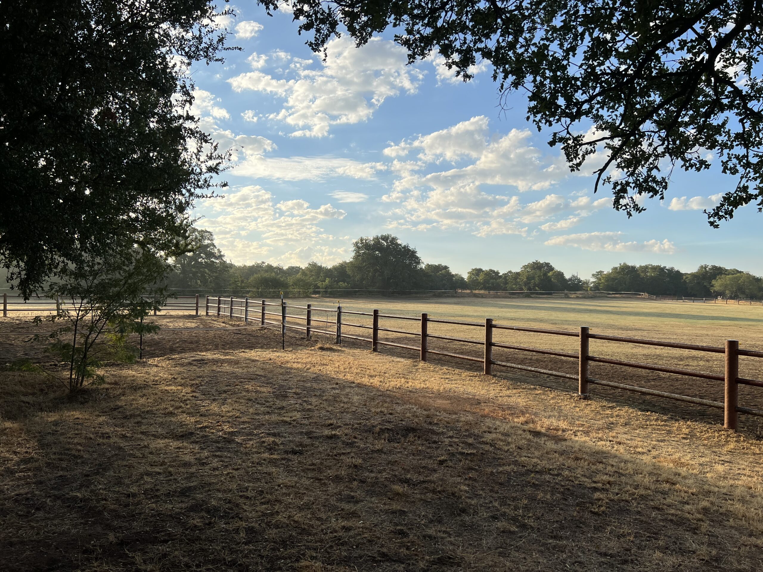 Blue sky above ranch in Texas