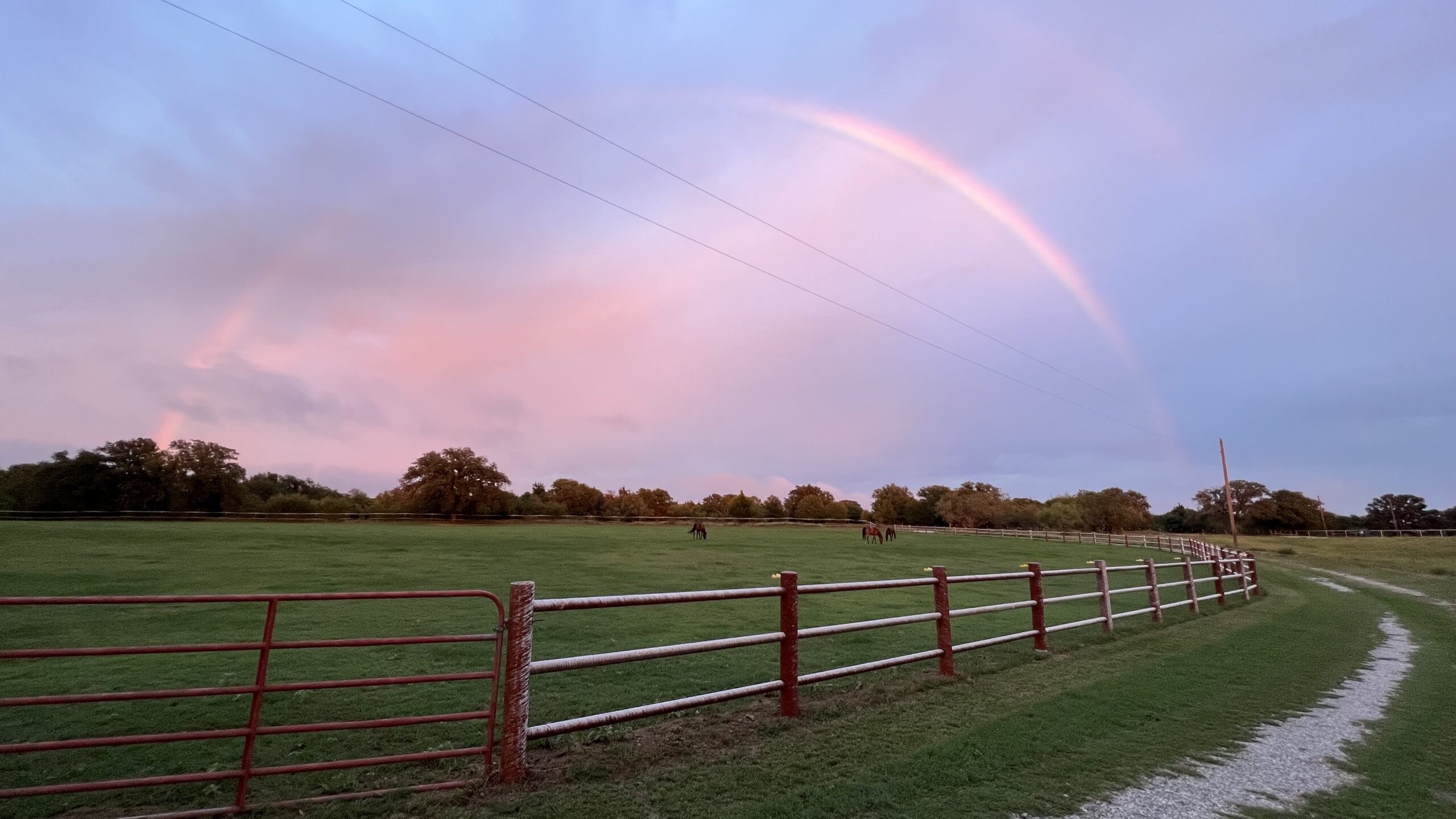 Rainbow over a Texas ranch