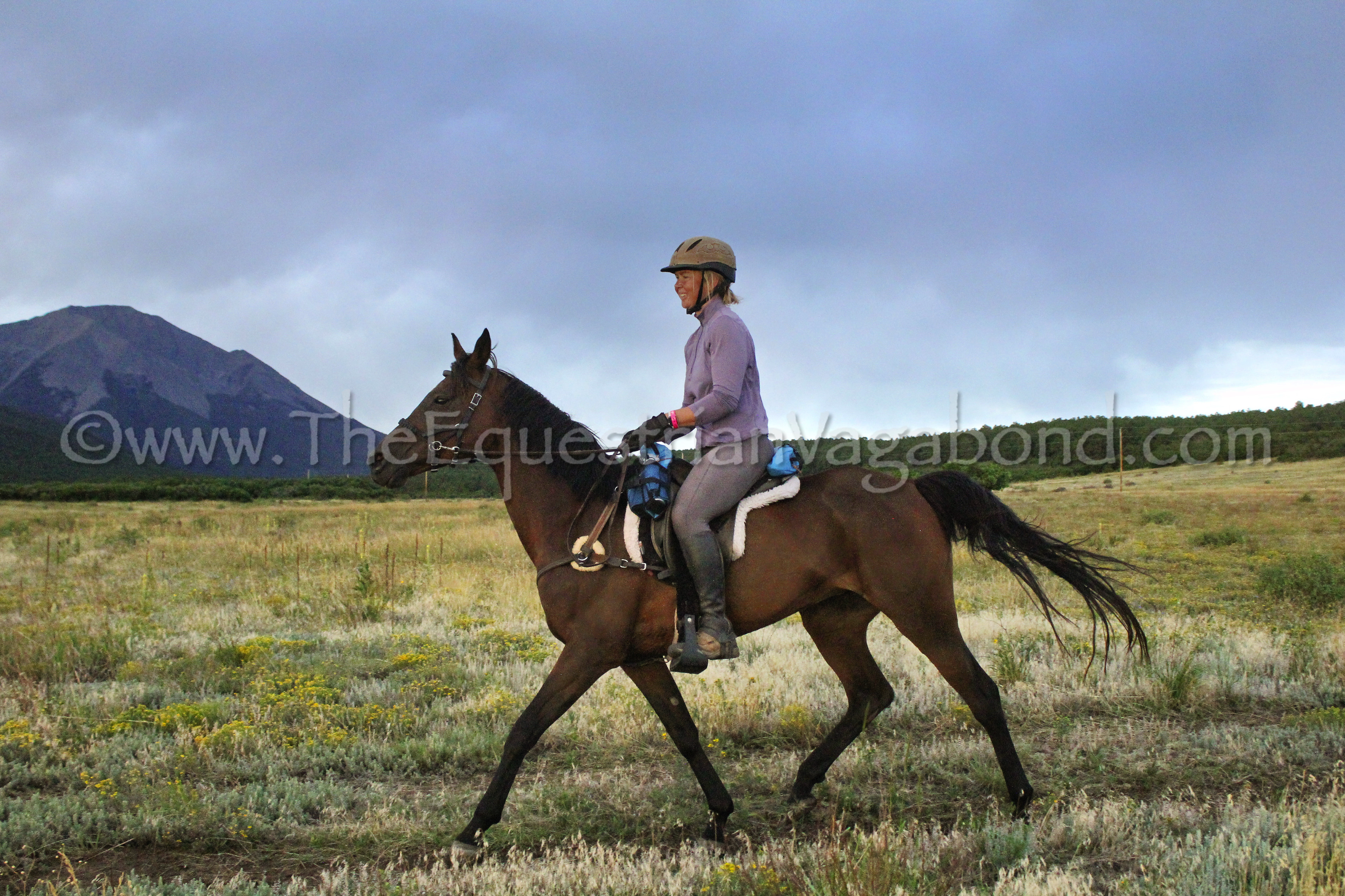 Image gallery image