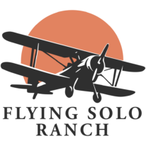 flying solo ranch logo