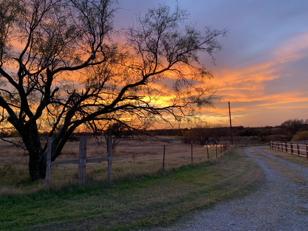 Texas sunsent