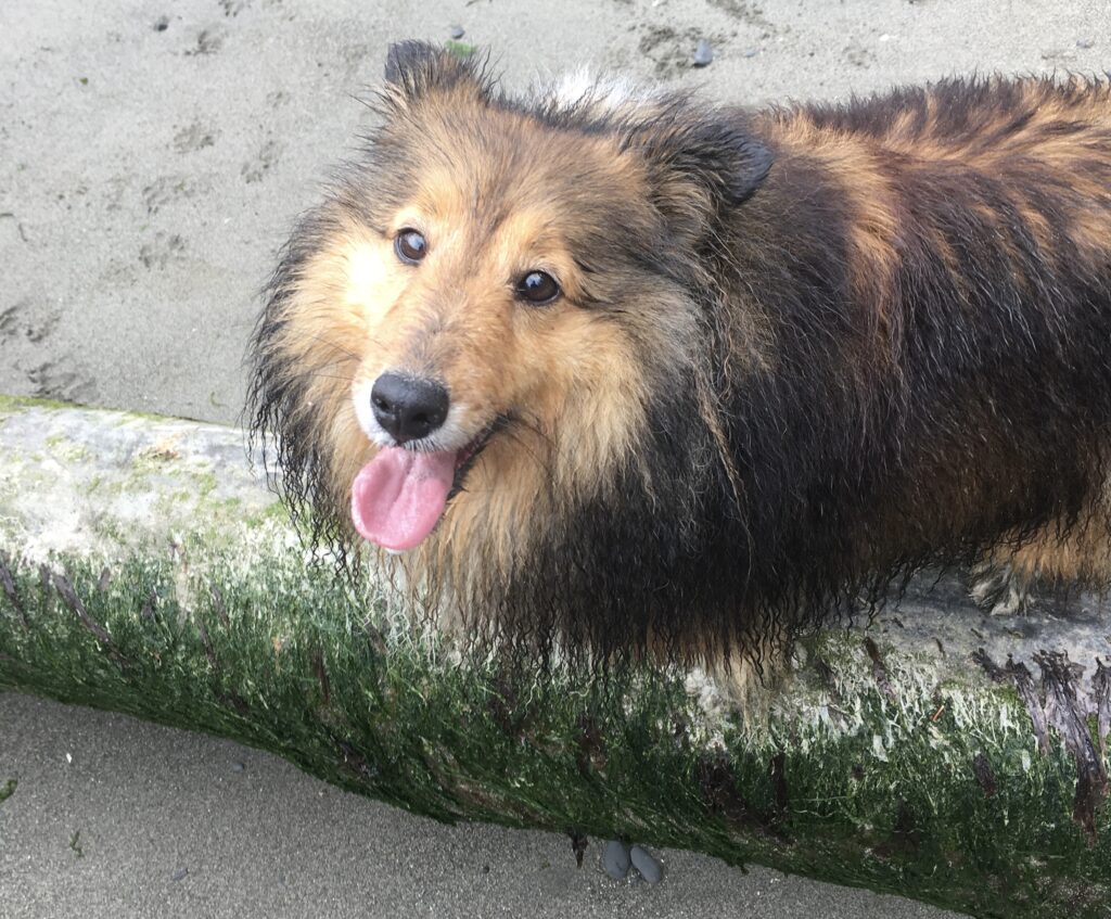 Margo on the beach