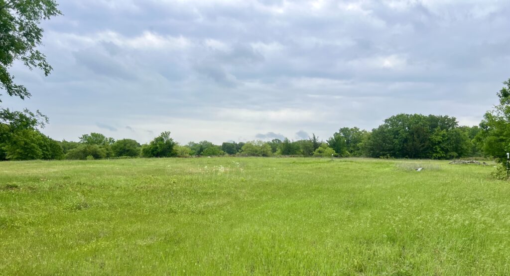 My property in texas