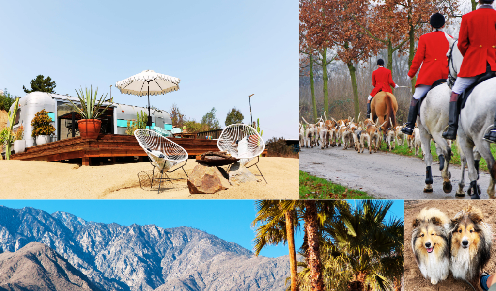 airstream trailer, fox hunting, SoCal mountains, shelties