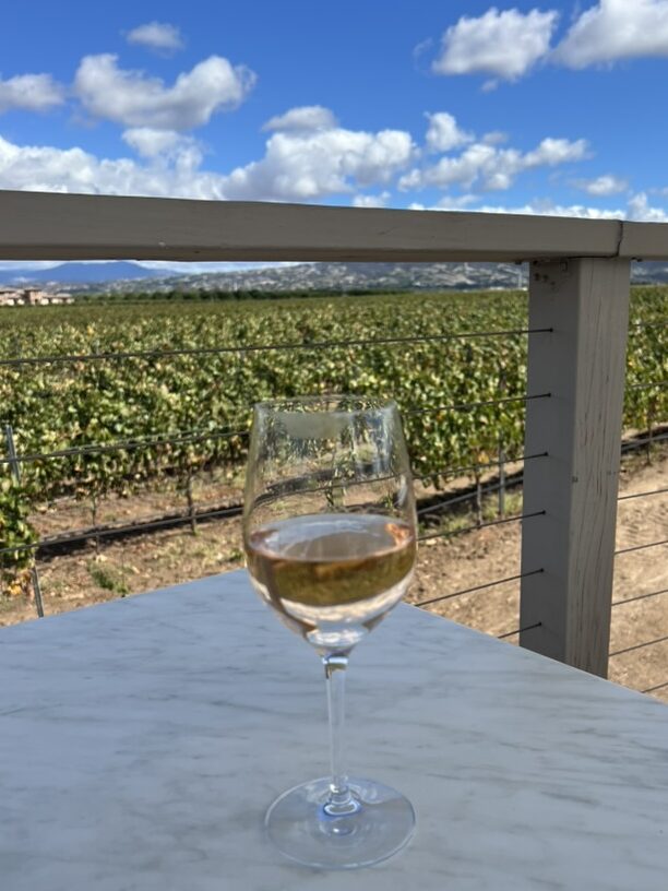 Glass of wine in Temecula