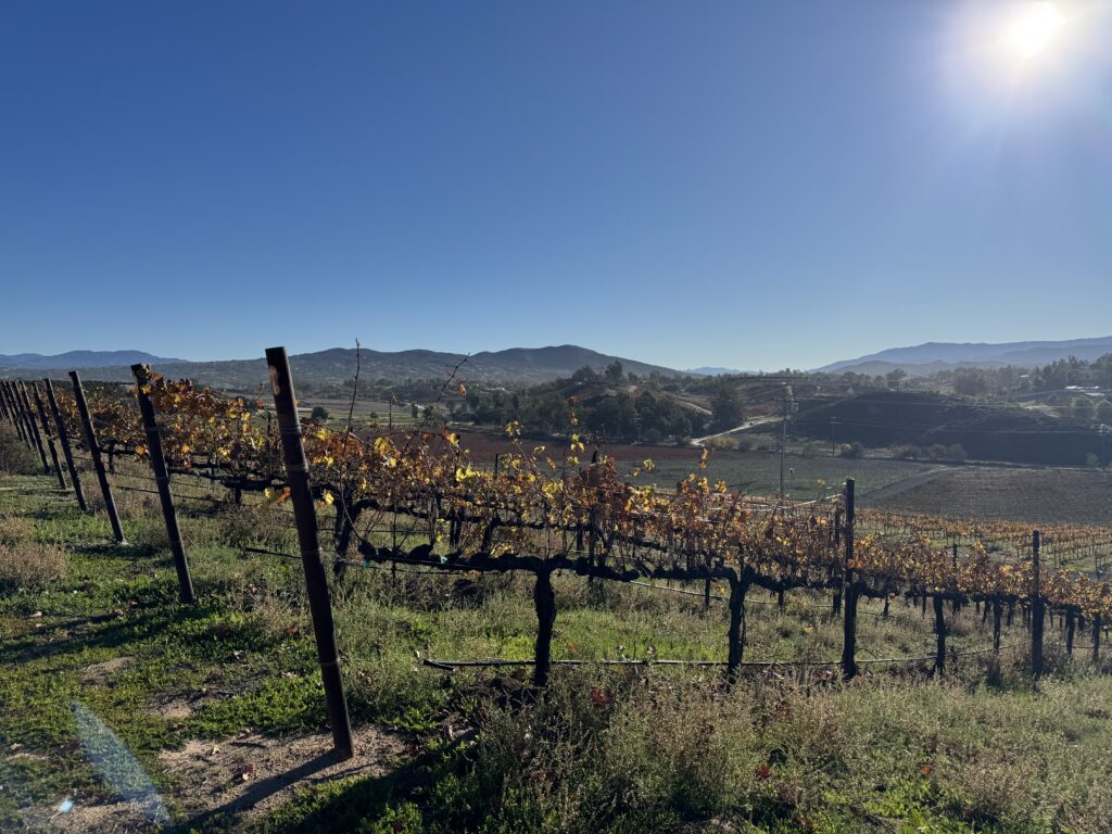 California wine country