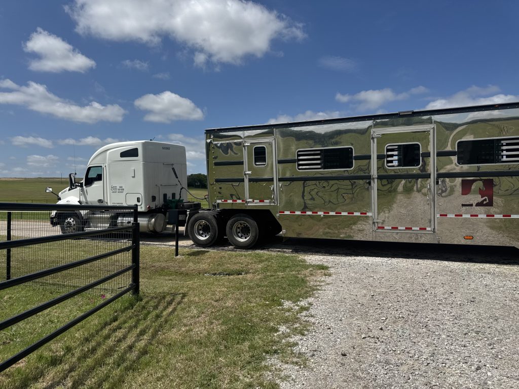 equine express